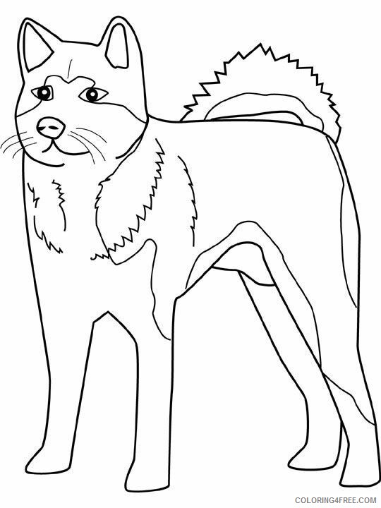Husky Coloring Pages Animal Printable Sheets Free Husky 2021 2838 Coloring4free