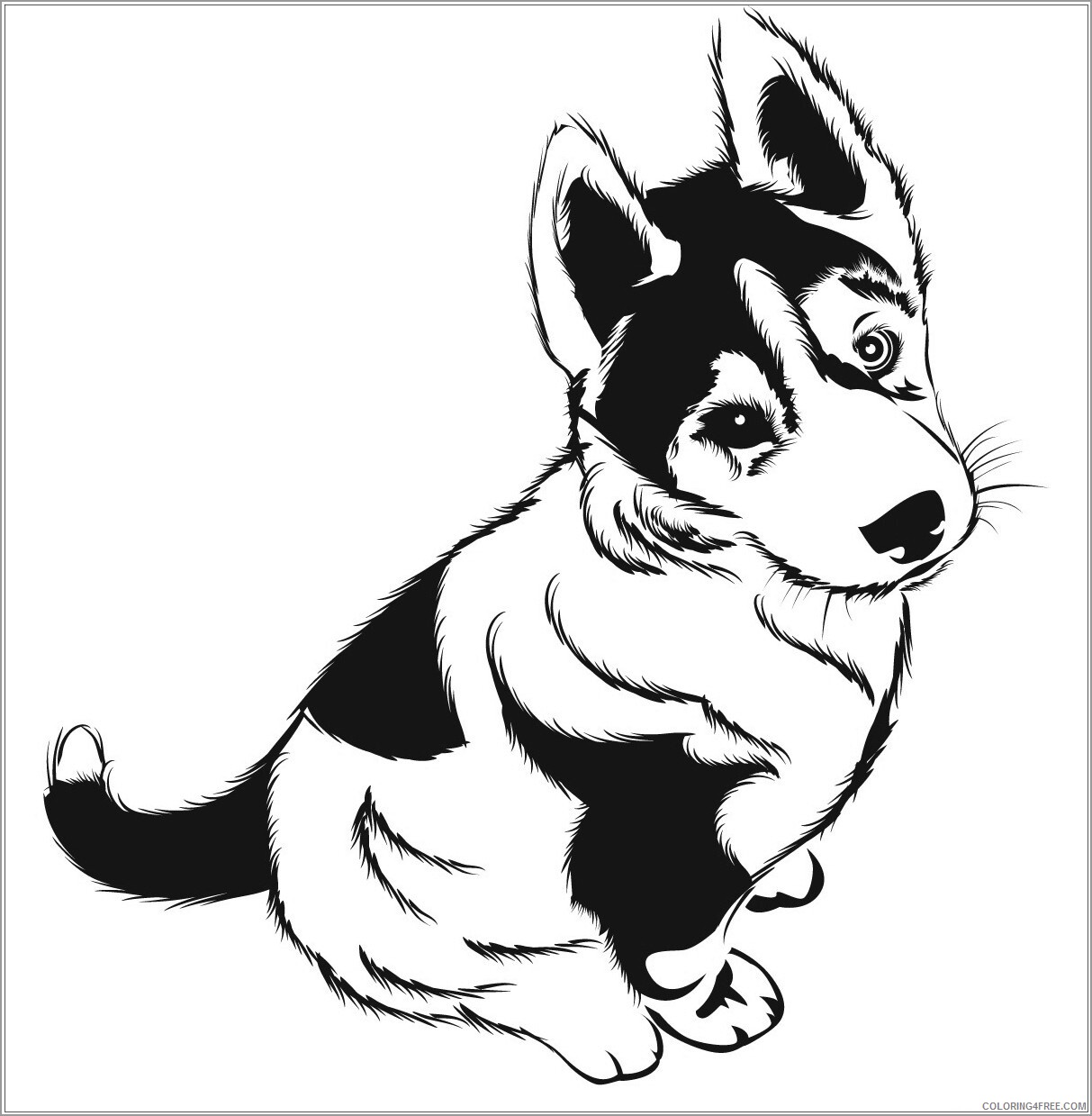 Husky Coloring Pages Animal Printable Sheets husky puppies 2021 2844 Coloring4free