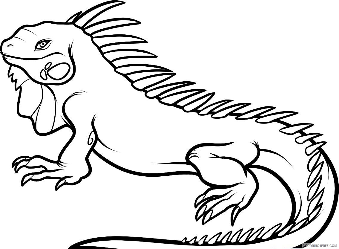 Iguana Coloring Pages Animal Printable Sheets Iguana 2021 2851 Coloring4free