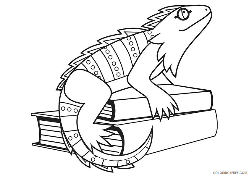 Iguana Coloring Pages Animal Printable Sheets iguana sitting on a book 2021 2857 Coloring4free