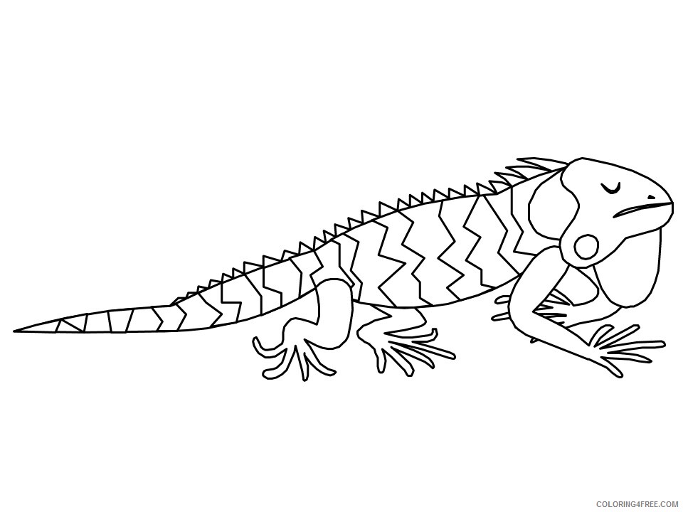 Iguana Coloring Pages Animal Printable Sheets iguana3 2021 2849 Coloring4free