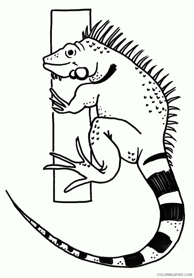 Iguana Coloring Sheets Animal Coloring Pages Printable 2021 2507 Coloring4free