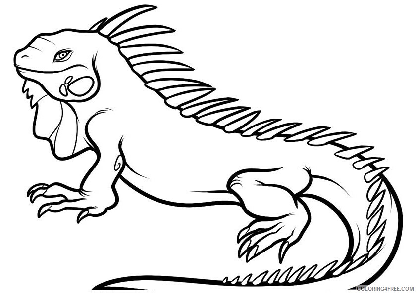 Iguana Coloring Sheets Animal Coloring Pages Printable 2021 2508 Coloring4free