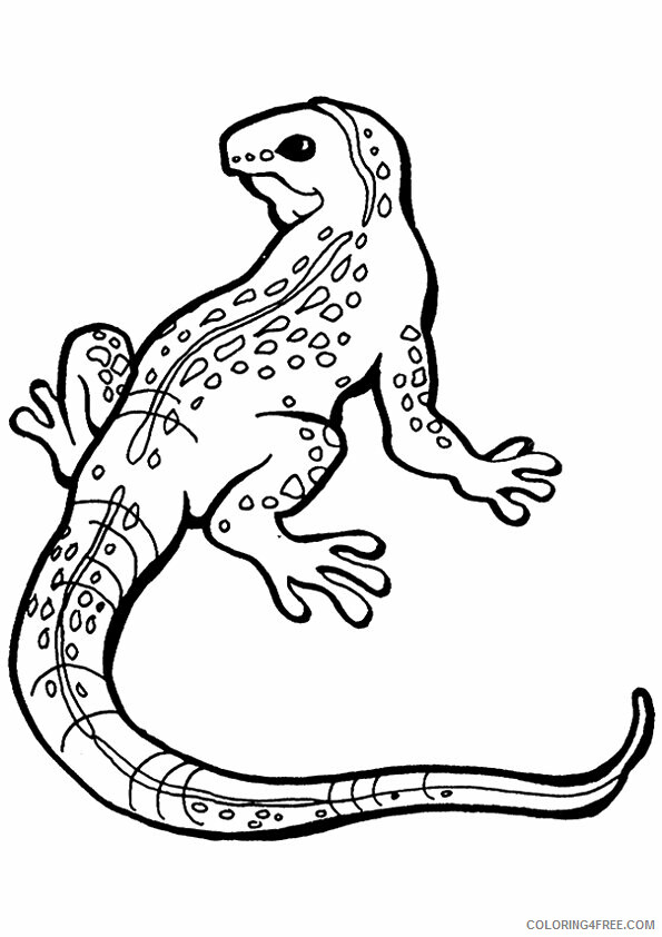 Iguana Coloring Sheets Animal Coloring Pages Printable 2021 2509 Coloring4free
