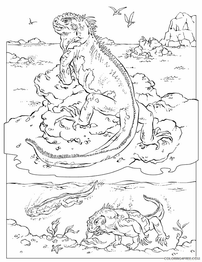 Iguana Coloring Sheets Animal Coloring Pages Printable 2021 2514 Coloring4free