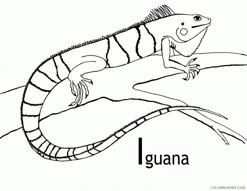 Iguana Coloring Sheets Animal Coloring Pages Printable 2021 2515 Coloring4free