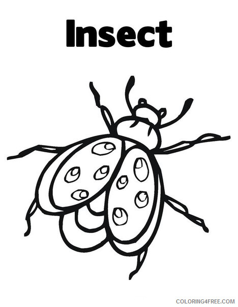 Insect Coloring Pages Animal Printable Sheets Insect 2021 2871 Coloring4free