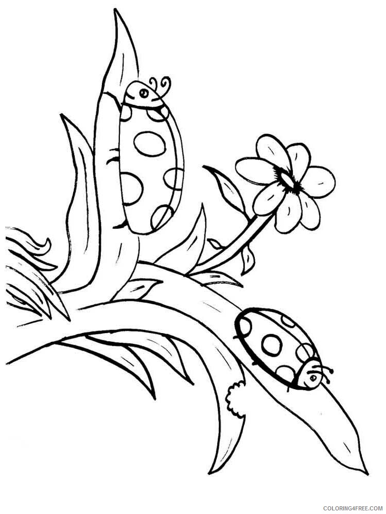 Insect Coloring Pages Animal Printable Sheets Insect 32 2021 2879 Coloring4free