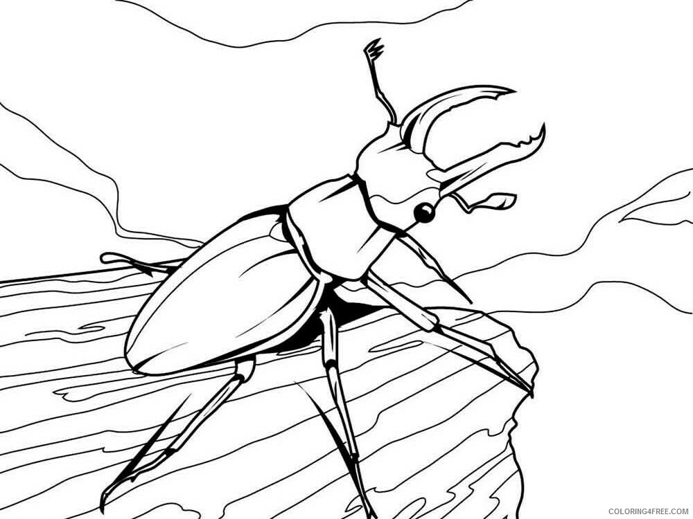 Insect Coloring Pages Animal Printable Sheets Insect 34 2021 2880 Coloring4free