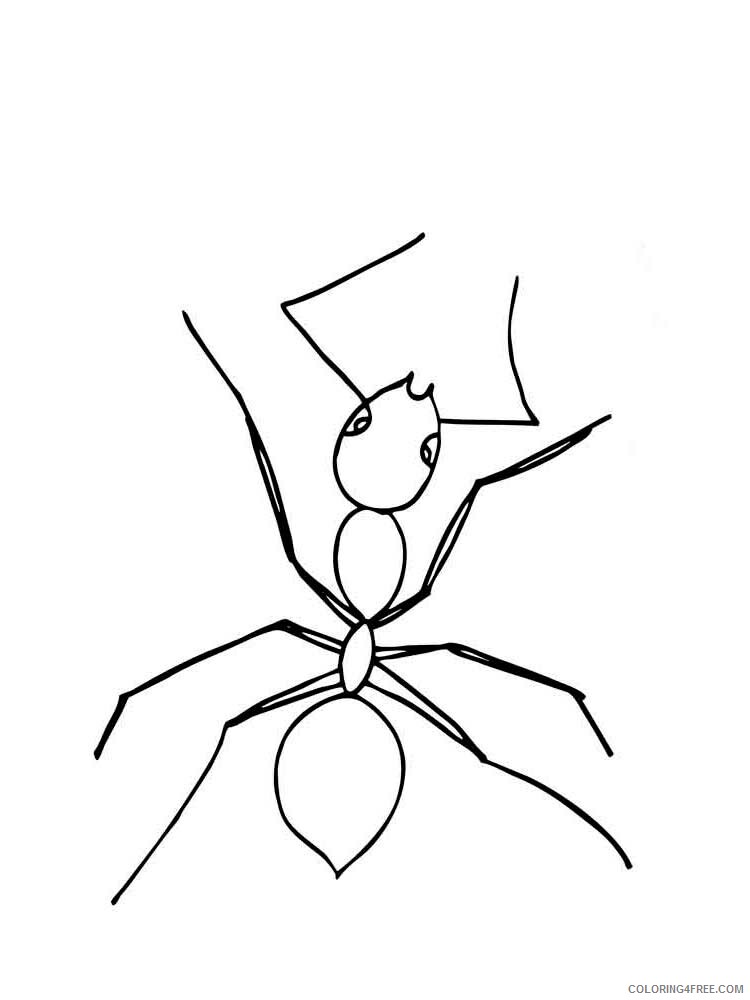Insect Coloring Pages Animal Printable Sheets Insect 44 2021 2884 Coloring4free