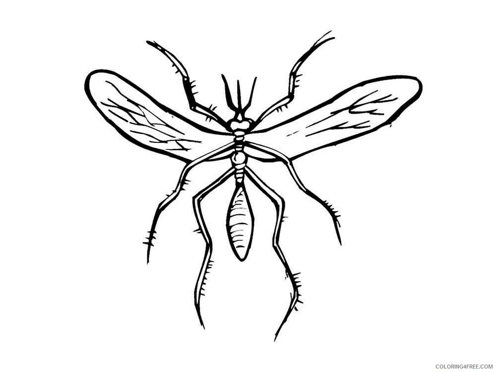 Insect Coloring Pages Animal Printable Sheets Insect 46 2021 2885 Coloring4free