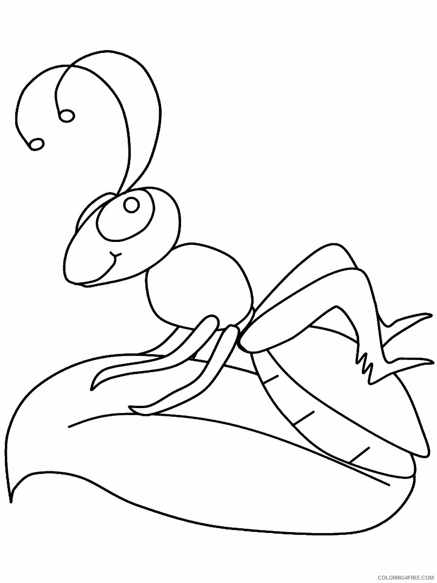 Insect Coloring Pages Animal Printable Sheets insects_cl_12 2021 2893 Coloring4free