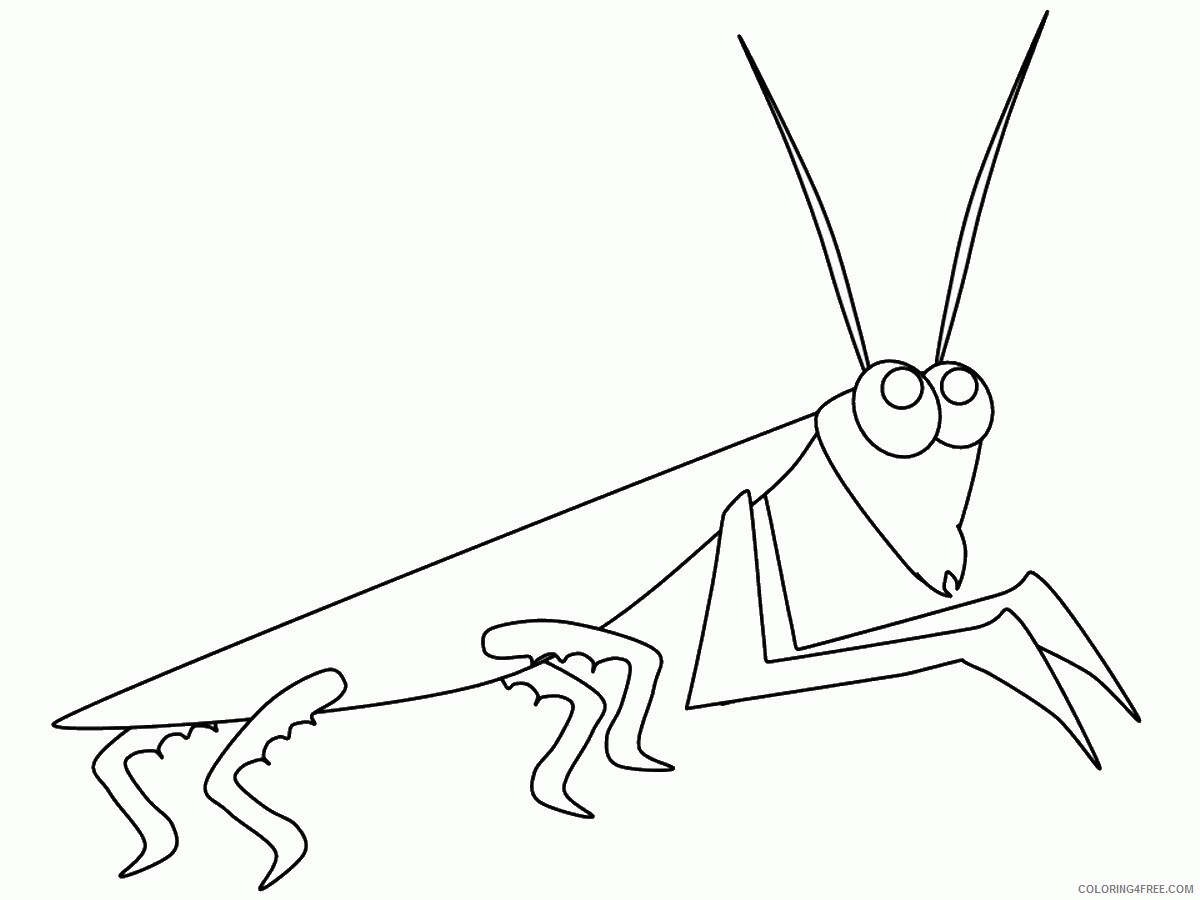 Insect Coloring Pages Animal Printable Sheets insects_cl_22 2021 2896 Coloring4free
