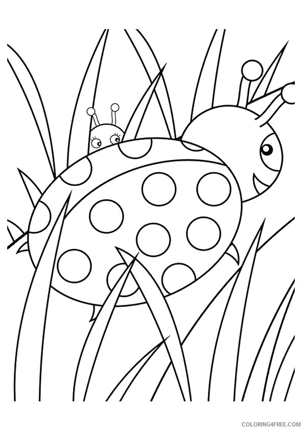 Insect Coloring Sheets Animal Coloring Pages Printable 2021 2524 Coloring4free