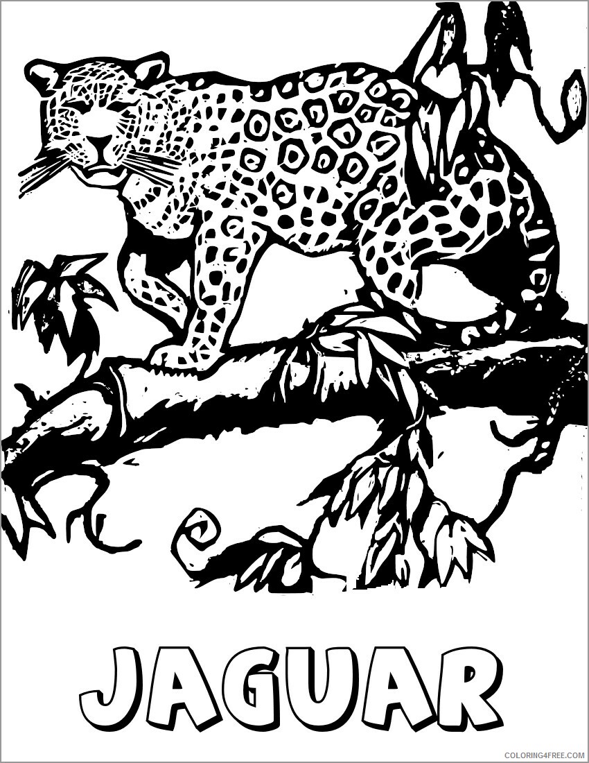 Jaguar Coloring Pages Animal Printable Sheets jaguar on the tree 2021 2914 Coloring4free