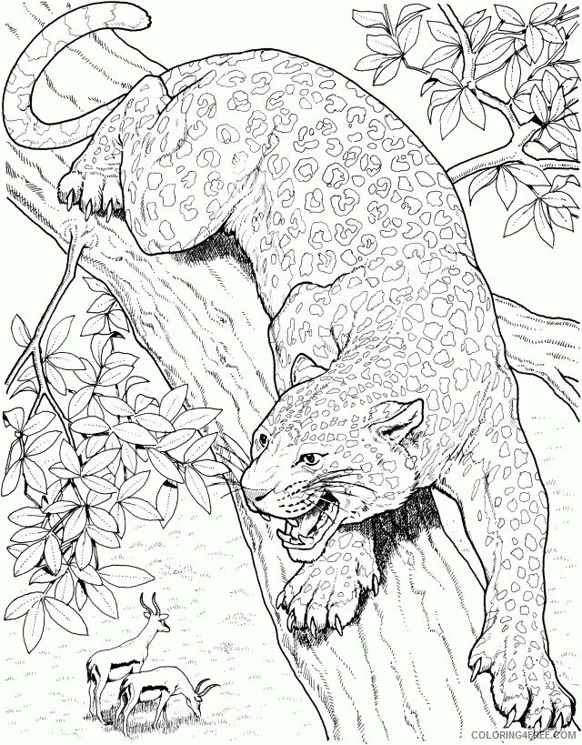 Jaguar Coloring Sheets Animal Coloring Pages Printable 2021 2563 Coloring4free