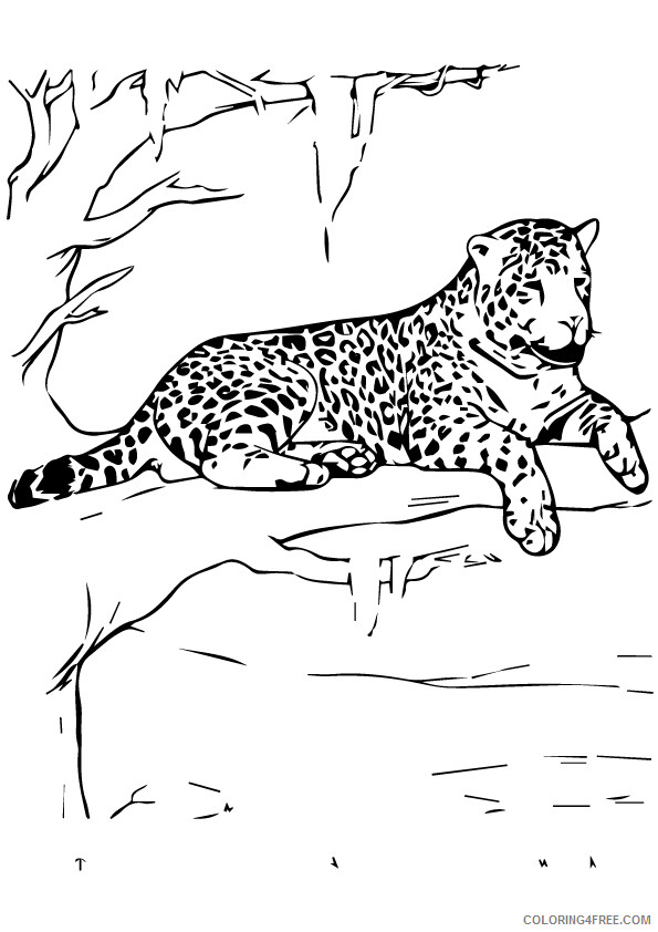 Jaguar Coloring Sheets Animal Coloring Pages Printable 2021 2566 Coloring4free