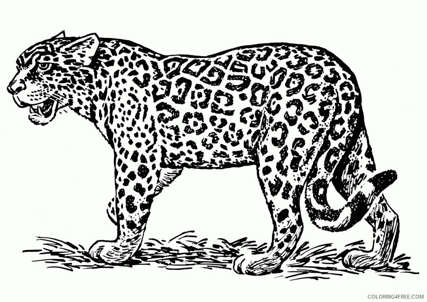 Jaguar Coloring Sheets Animal Coloring Pages Printable 2021 2567 Coloring4free