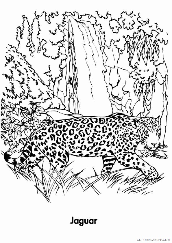 Jaguar Coloring Sheets Animal Coloring Pages Printable 2021 2575 Coloring4free