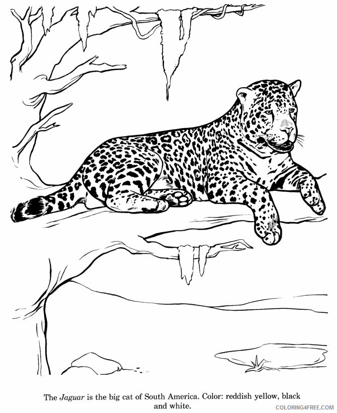 Jaguar Coloring Sheets Animal Coloring Pages Printable 2021 2579 Coloring4free