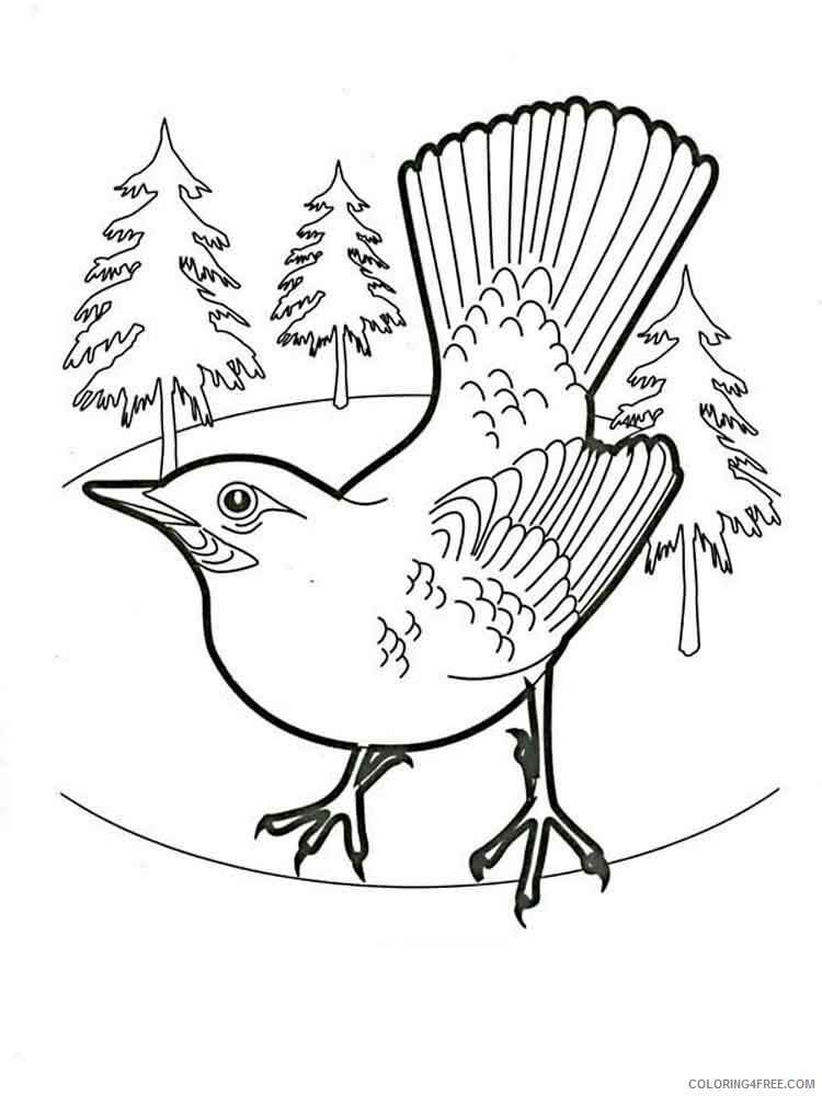 Jay Coloring Pages Animal Printable Sheets Jay birds 9 2021 2923 Coloring4free