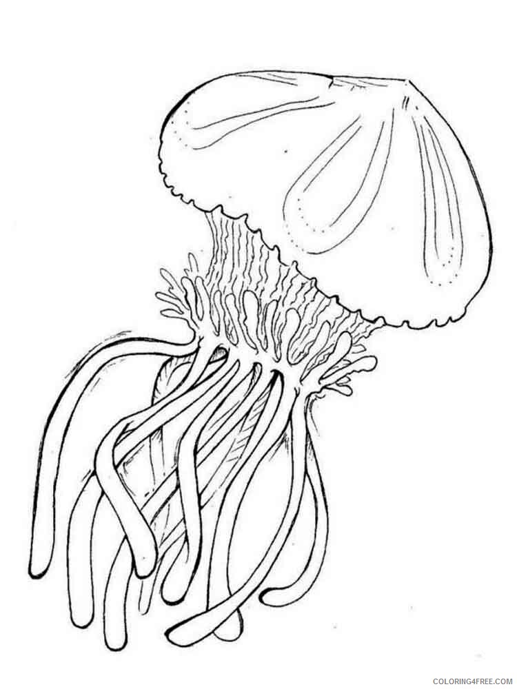Jellyfish Coloring Pages Animal Printable Sheets Jellyfish 3 2021 2927 Coloring4free