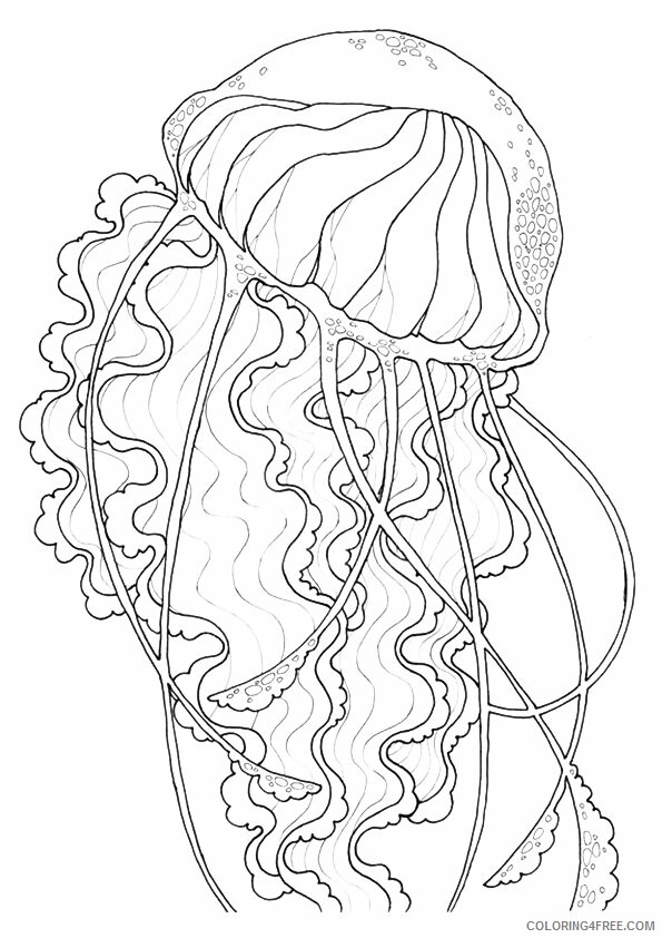 Jellyfish Coloring Sheets Animal Coloring Pages Printable 2021 2583 Coloring4free