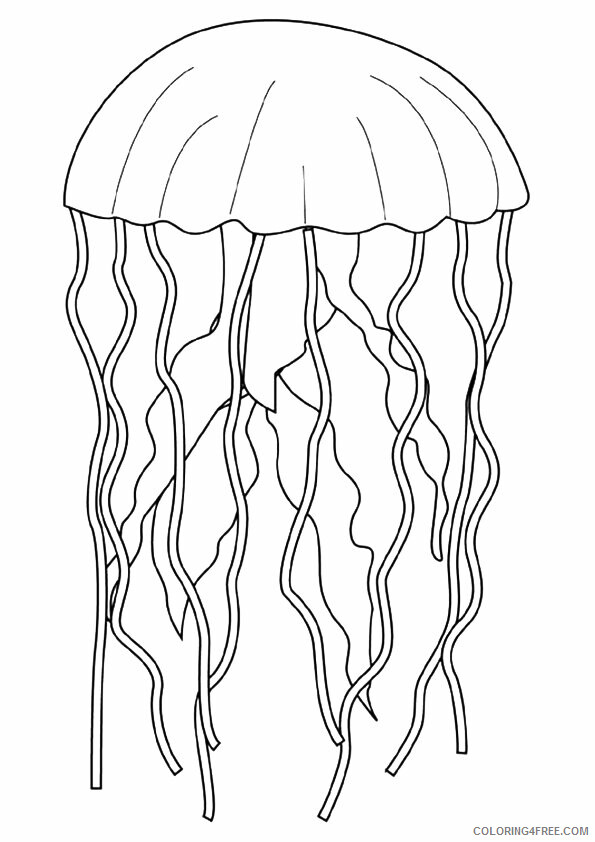 Jellyfish Coloring Sheets Animal Coloring Pages Printable 2021 2586 Coloring4free