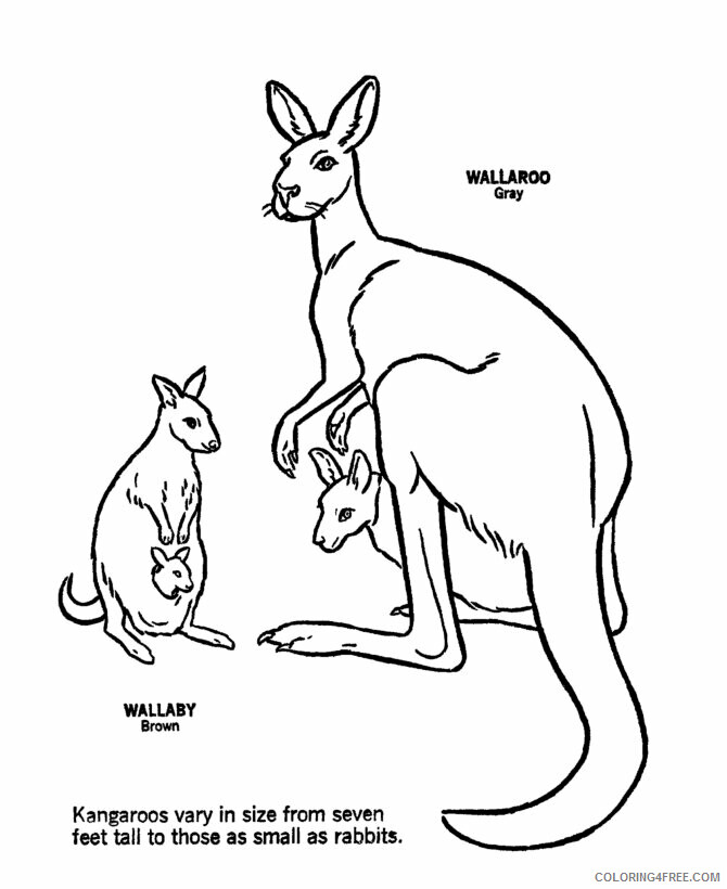 Kangaroo Coloring Pages Animal Printable Sheets Free Kangaroo 2021 2934 Coloring4free
