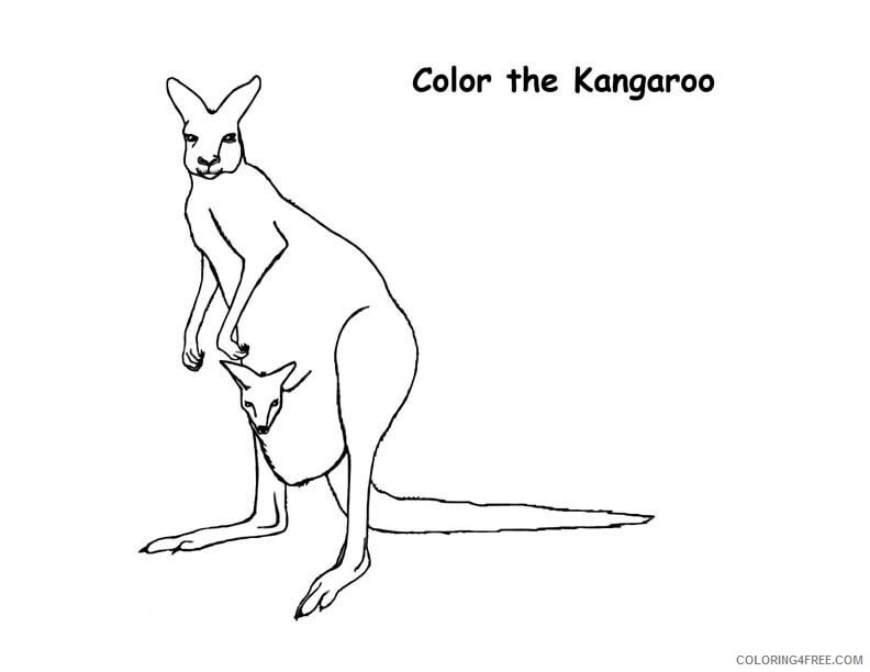Kangaroo Coloring Pages Animal Printable Sheets Kangaroo Photos 2021 2952 Coloring4free
