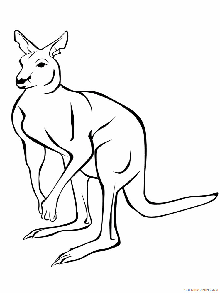 Kangaroo Coloring Pages Animal Printable Sheets Kangaroo animal 351 2021 2942 Coloring4free