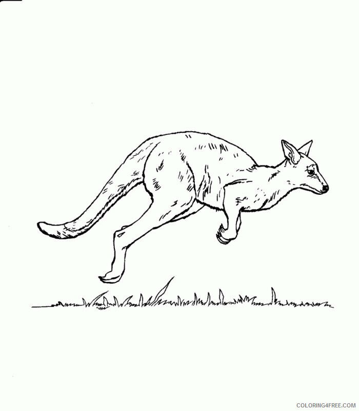 Kangaroo Coloring Sheets Animal Coloring Pages Printable 2021 2621 Coloring4free
