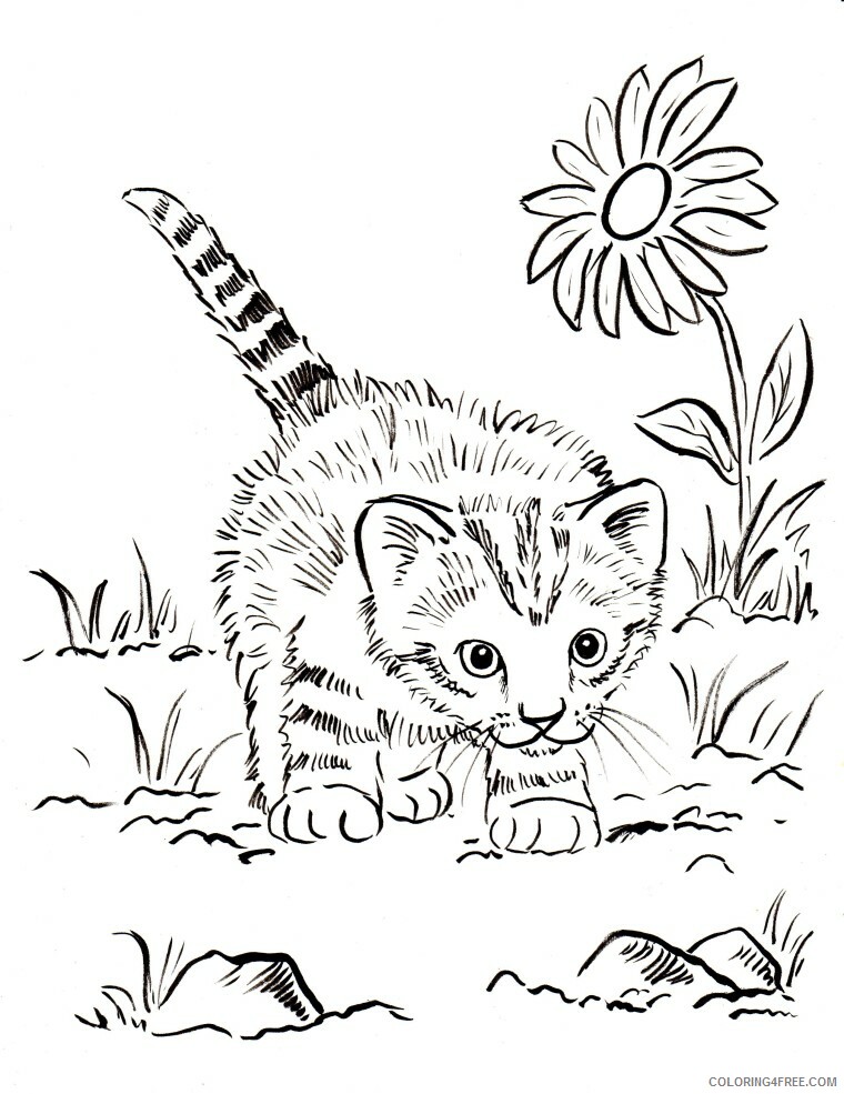 Kitten Coloring Pages Animal Printable Sheets Free Kitten 2021 2983 Coloring4free