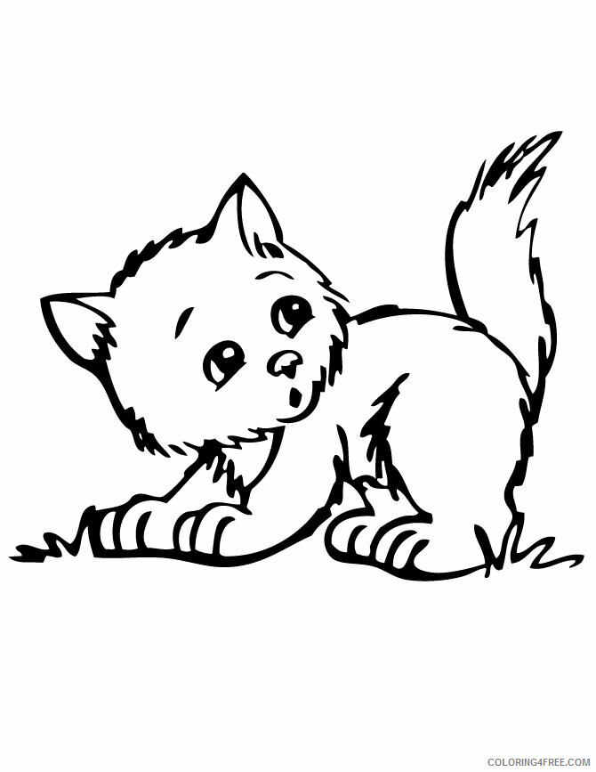 Kitten Coloring Pages Animal Printable Sheets Kittens 2021 3007 Coloring4free