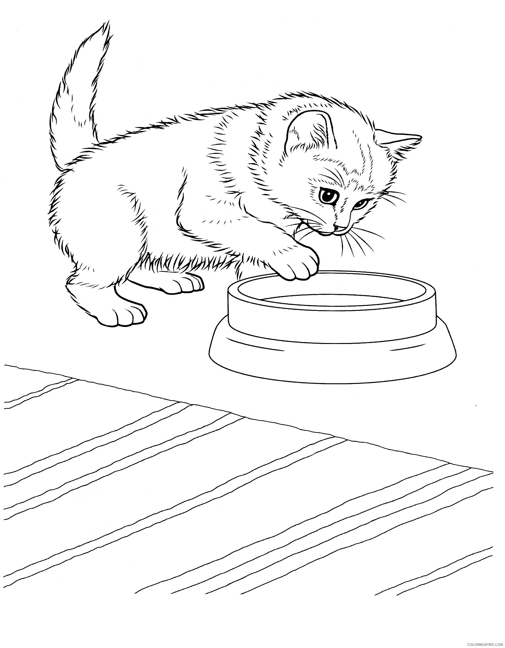 Kitten Coloring Pages Animal Printable Sheets free kitten for kids 2021 2990 Coloring4free
