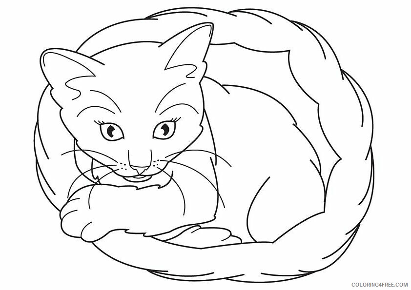 Kitten Coloring Pages Animal Printable Sheets kitten 2 2021 2993 Coloring4free