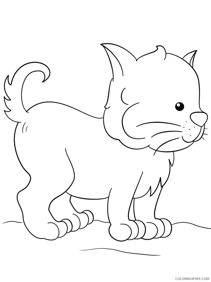 Kitten Coloring Pages Animal Printable Sheets lovely kitten 2021 3016 Coloring4free