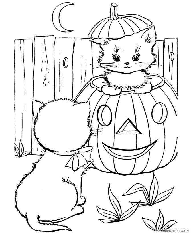Kitten Coloring Sheets Animal Coloring Pages Printable 2021 2665 Coloring4free