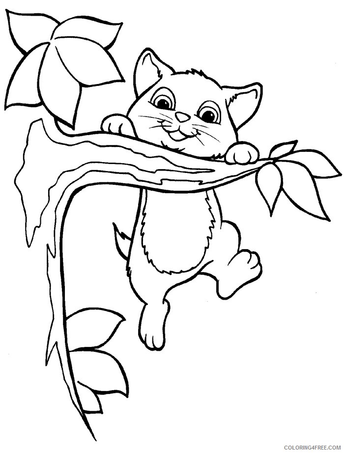 Kitten Coloring Sheets Animal Coloring Pages Printable 2021 2689 Coloring4free