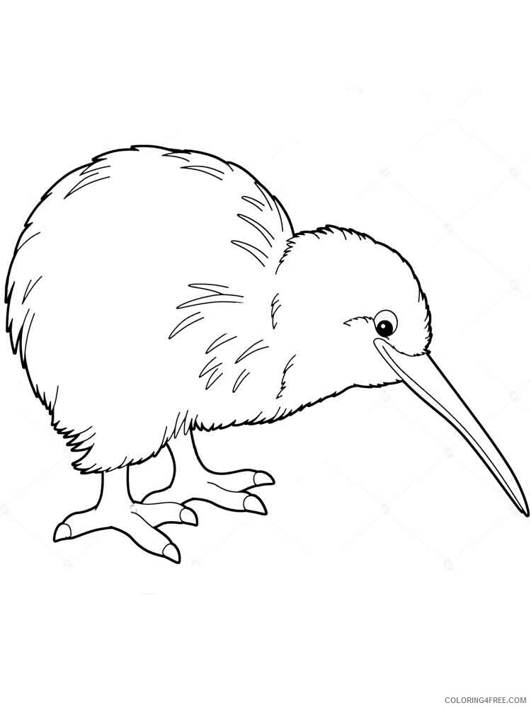 Kiwi Coloring Pages Animal Printable Sheets Kiwi birds 2 2021 3028 Coloring4free
