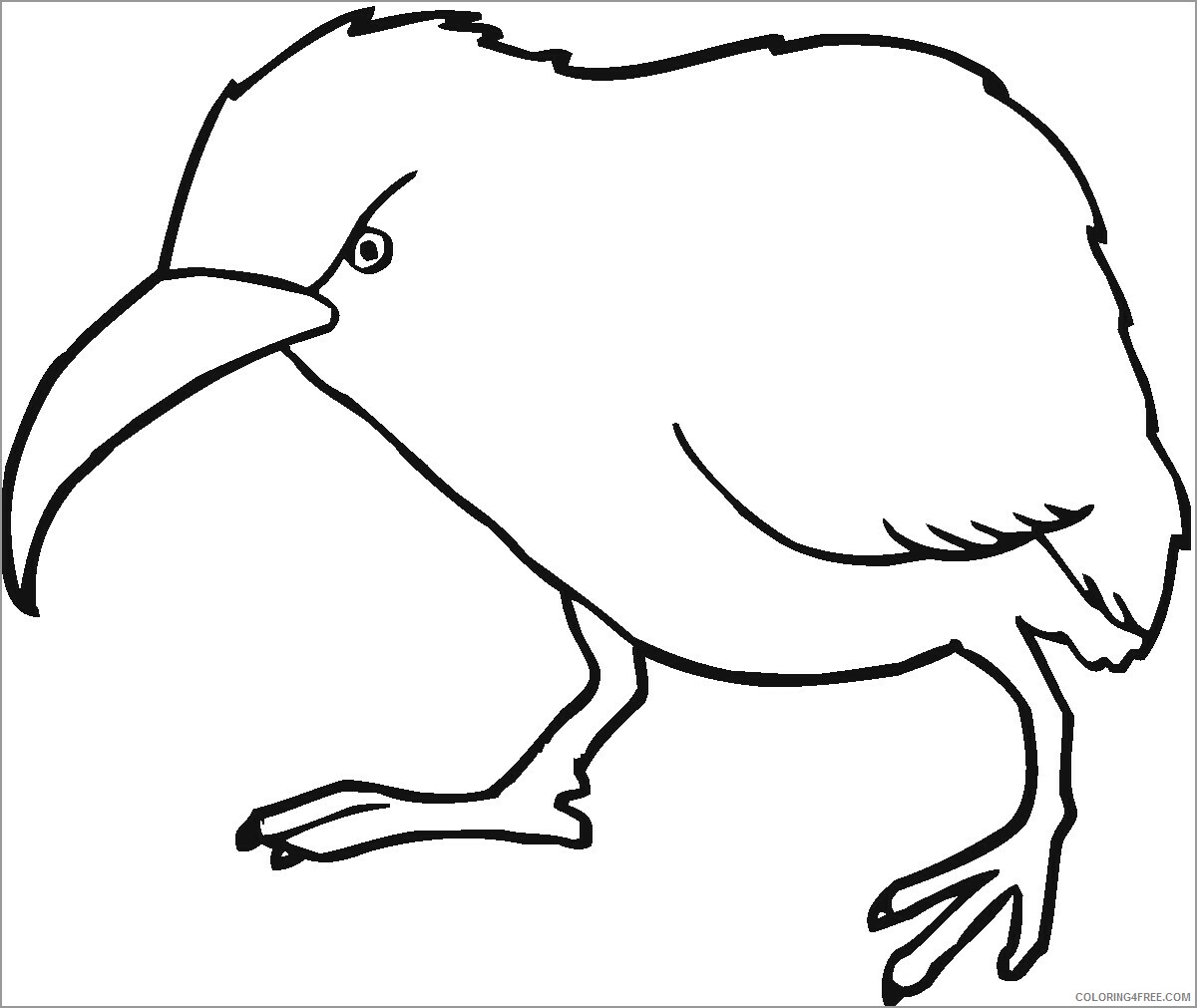 Kiwi Coloring Pages Animal Printable Sheets kiwi for kids 2021 3031 Coloring4free