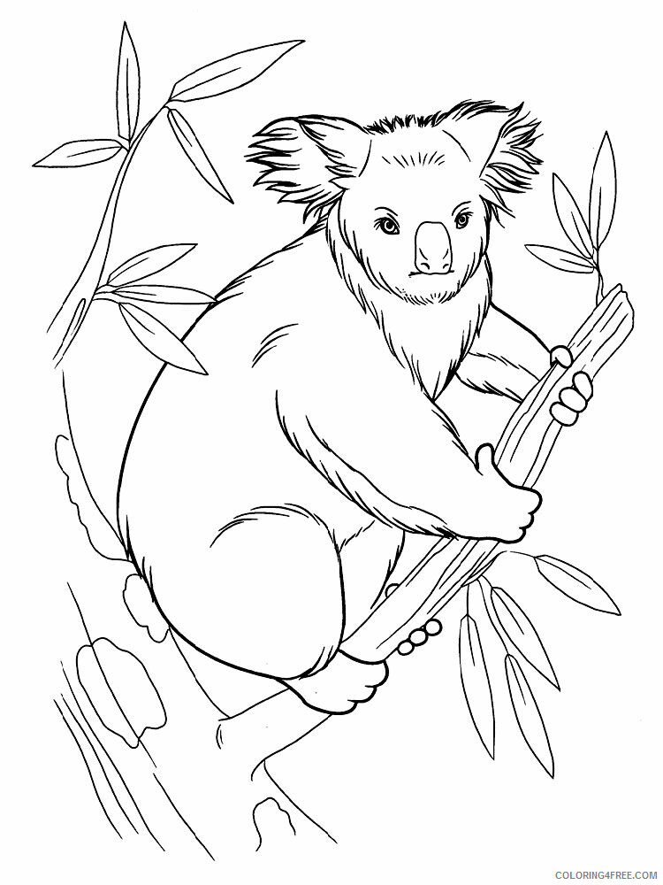 Koala Coloring Pages Animal Printable Sheets Koala animal 335 2021 3042 Coloring4free