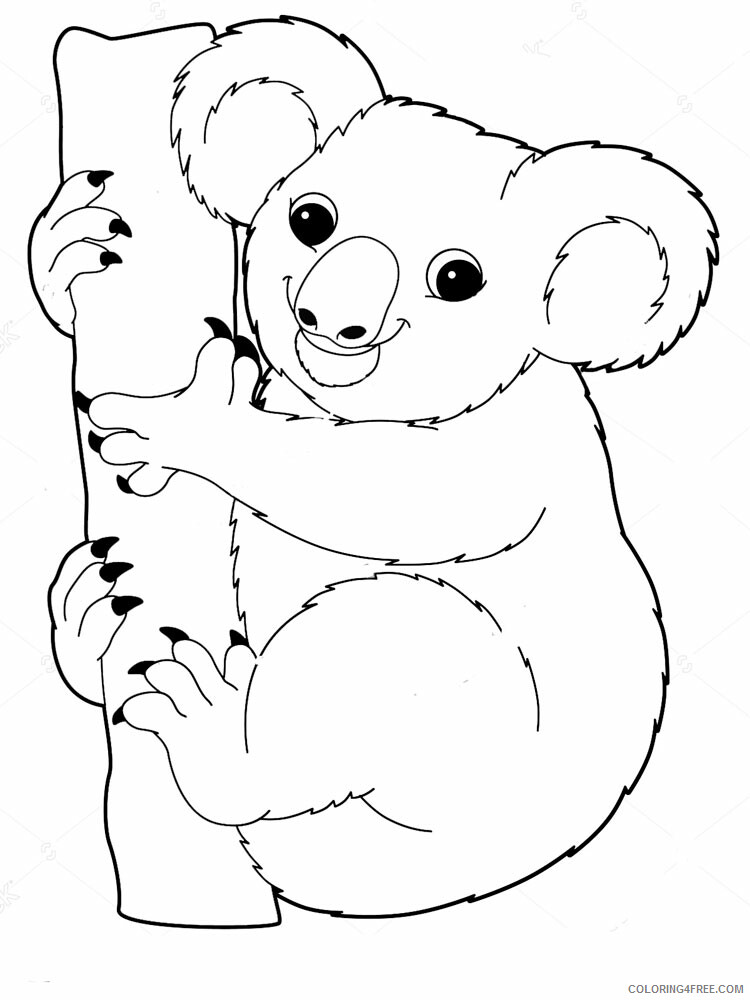 Koala Coloring Pages Animal Printable Sheets Koala animal 346 2021 3047 Coloring4free