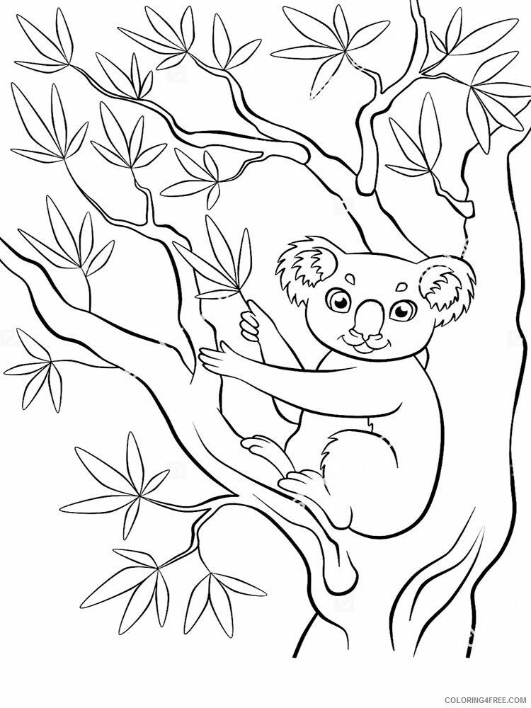 Koala Coloring Pages Animal Printable Sheets Koala animal 347 2021 3048 Coloring4free