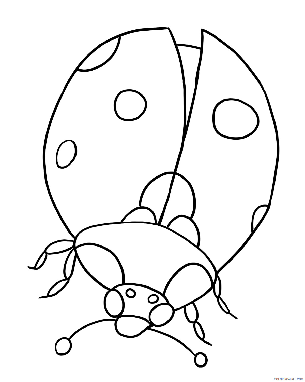 Ladybug Coloring Pages Animal Printable Sheets Lady Bug 2021 3076 Coloring4free