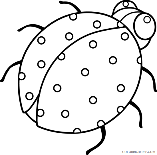Ladybug Coloring Pages Animal Printable Sheets Ladybug Sheets to Print 2021 3093 Coloring4free