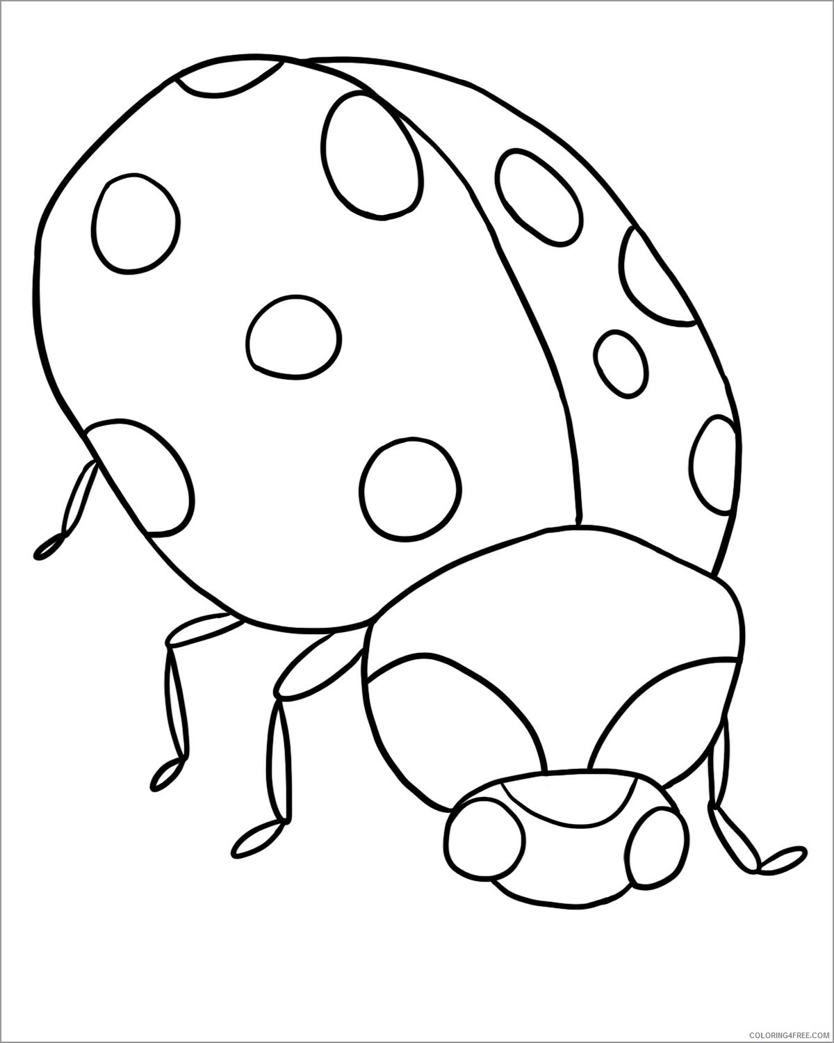 Ladybug Coloring Pages Animal Printable Sheets of a ladybug 2021 3064 Coloring4free