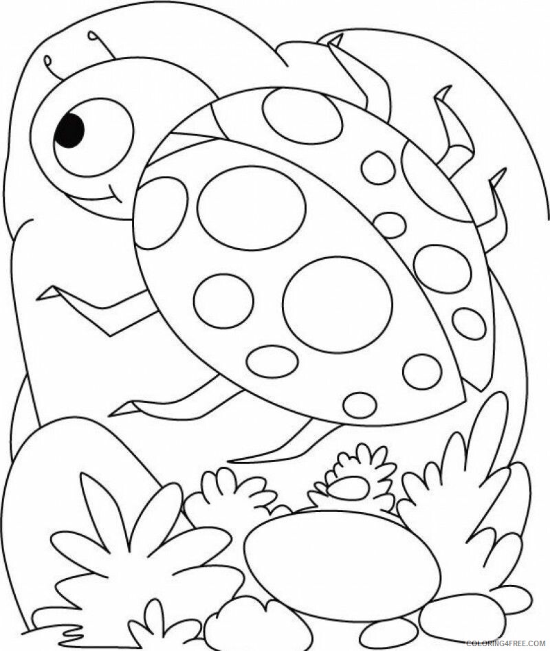 Ladybug Coloring Sheets Animal Coloring Pages Printable 2021 2803 Coloring4free