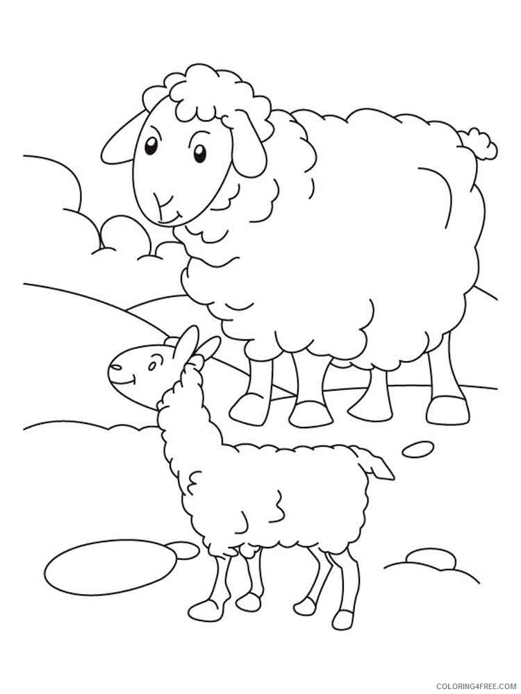 Lamb Coloring Pages Animal Printable Sheets animals lamb 1 2021 3107 Coloring4free