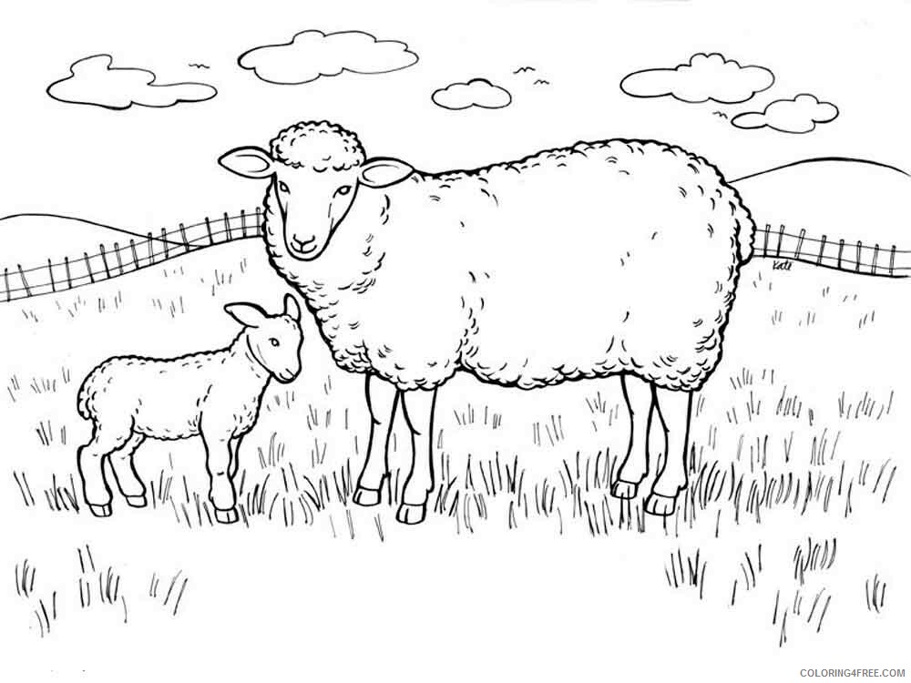Lamb Coloring Pages Animal Printable Sheets animals lamb 10 2021 3108 Coloring4free